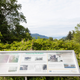 Illustration for article titled Pics from the 2017 North Island Roadtrip: 2017-06-17 at Gold Riverem/em